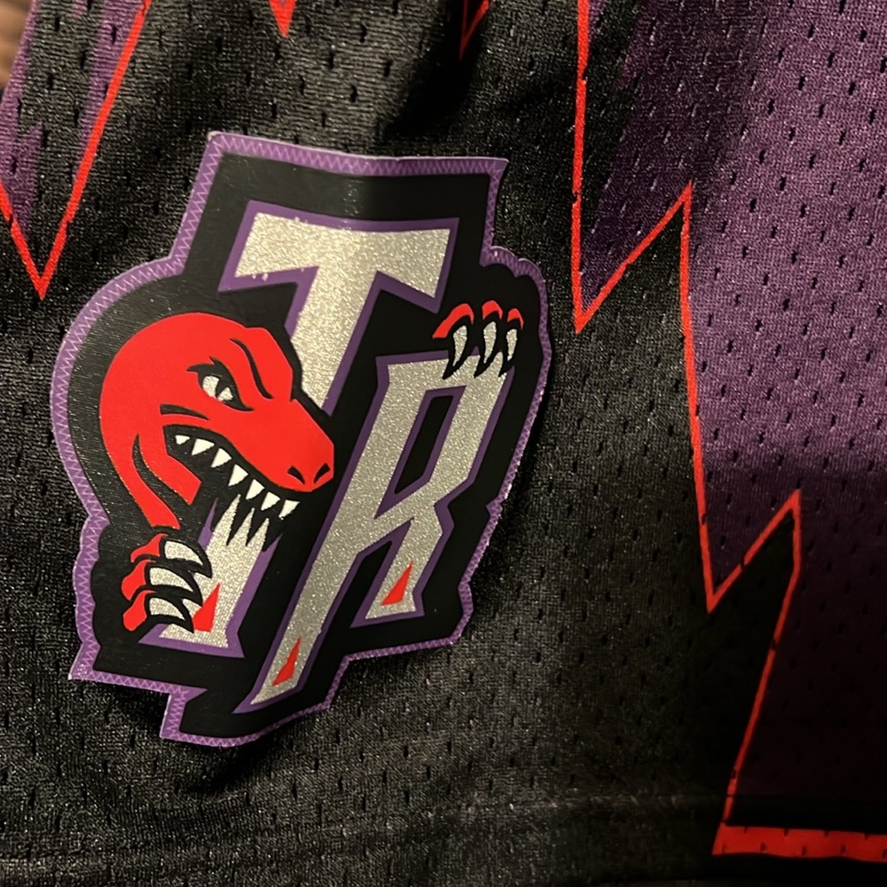 TORONTO RAPTORS SWINGMAN SHORTS - Picture 7 of 7